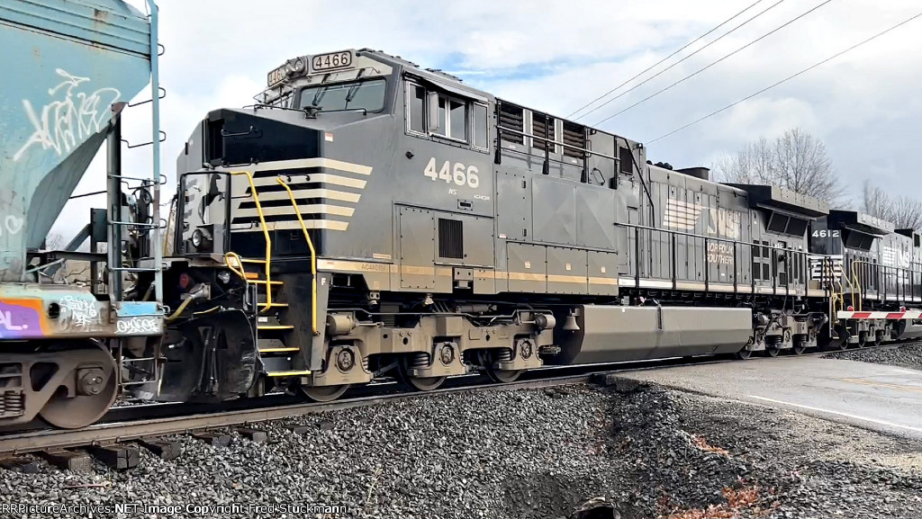 NS 4466 is an older sister to the leader.